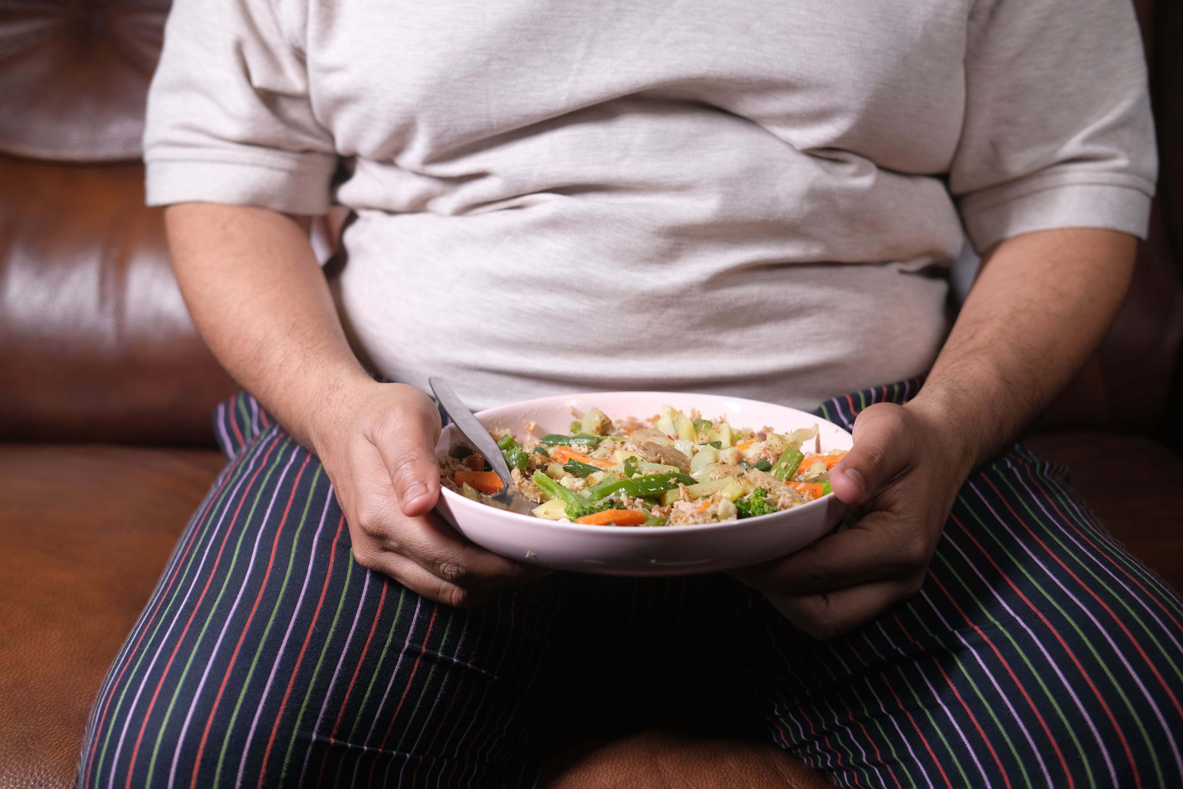Understanding obesity